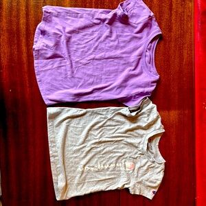 Champion Purple and Gray T-Shirts